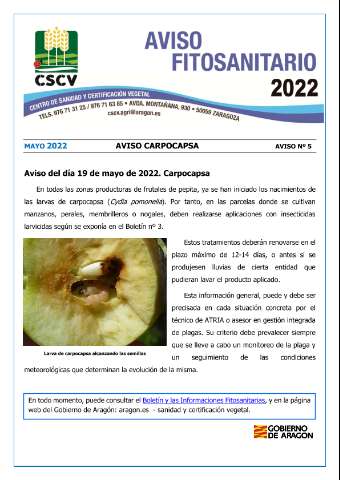 application/pdf