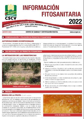 application/pdf