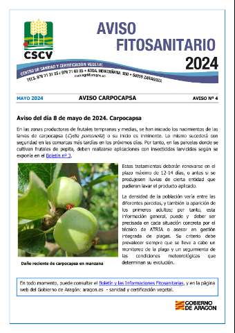 application/pdf