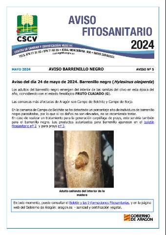 application/pdf