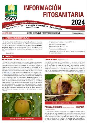 application/pdf