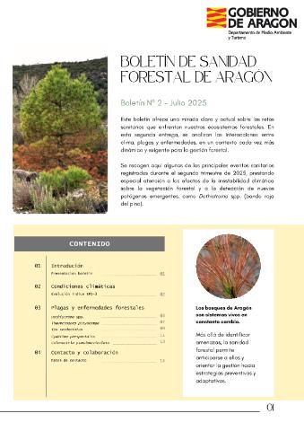 application/pdf